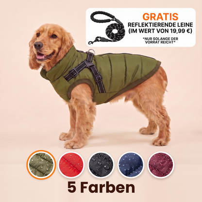 Hundemantel mit Geschirr – wasserabweisend, 5 Farben