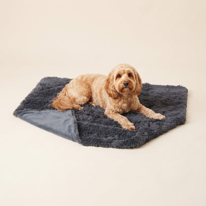 Hund liegt auf der Schnauzenheld Kuscheldecke in Dunkelgrau