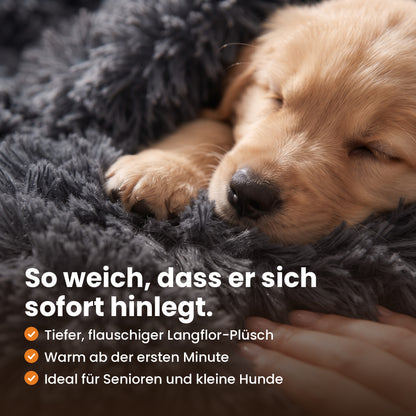 So weich, dass er sich sofort hinlegt: Welpe schläft auf dem Langflor-Plüsch