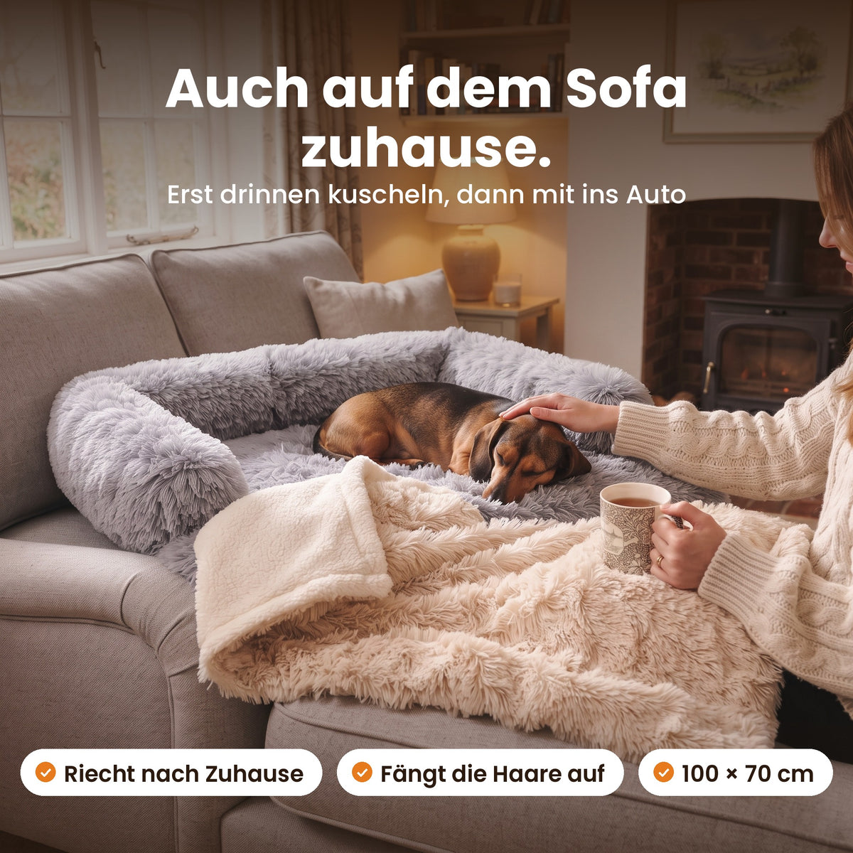 Auch auf dem Sofa zuhause: Dackel im Sofabett mit der Kuscheldecke in Beige