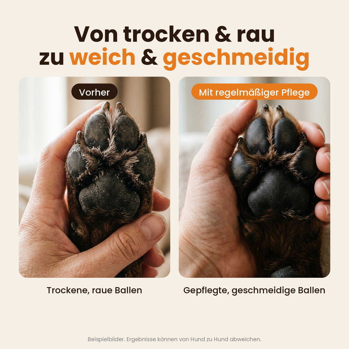 Von trockenen, rauen zu weichen, geschmeidigen Ballen (Beispielbilder)