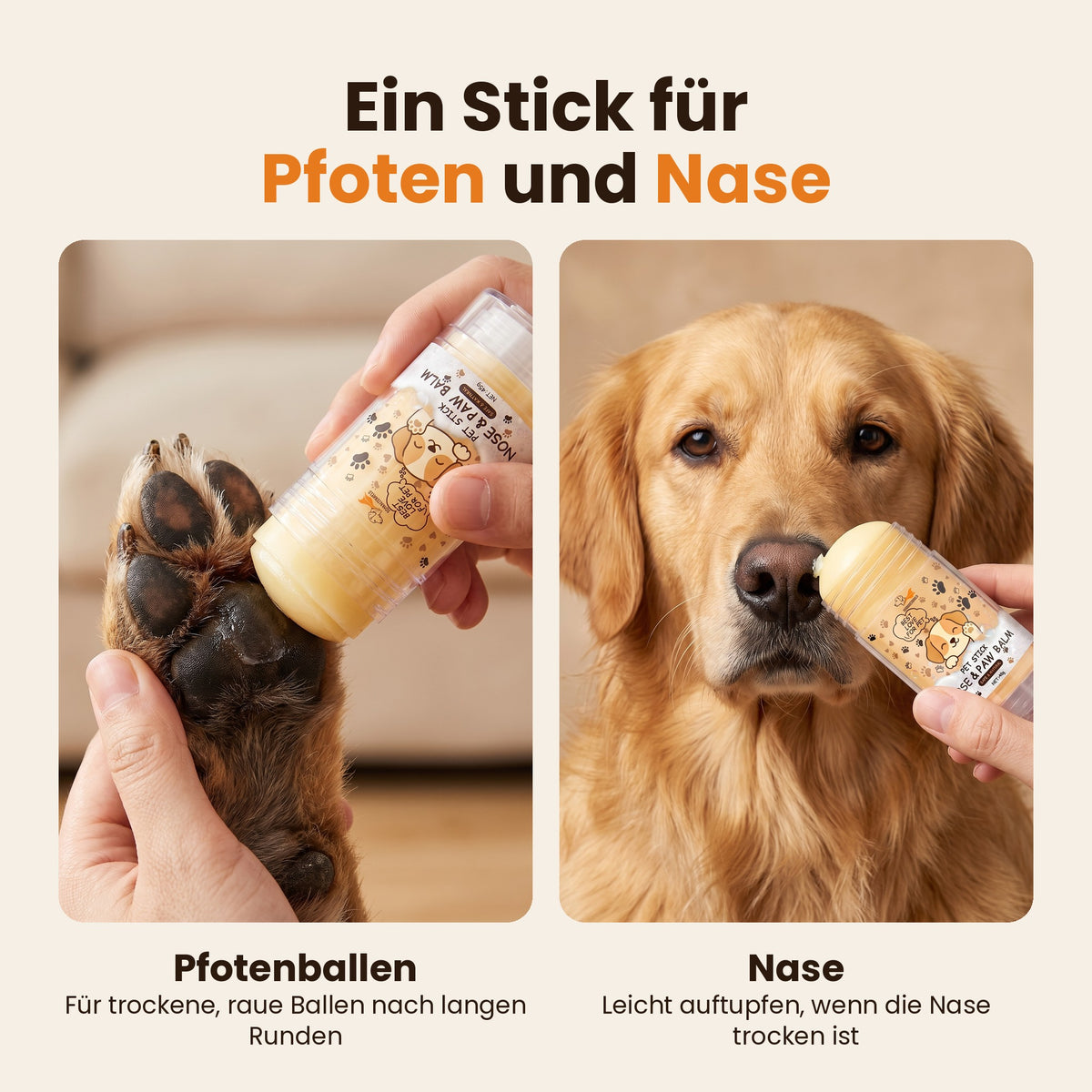Ein Stick für Pfoten und Nase