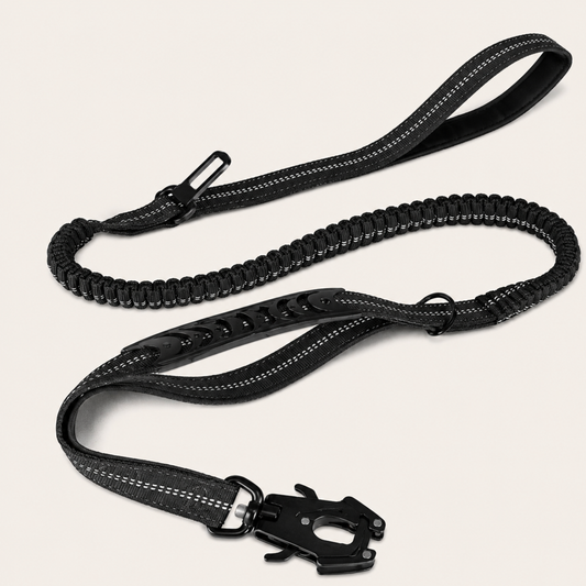 Schnauzenheld™ Bungee-Leine