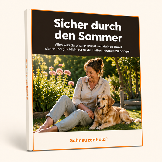 Sicher durch den Sommer - Ebook