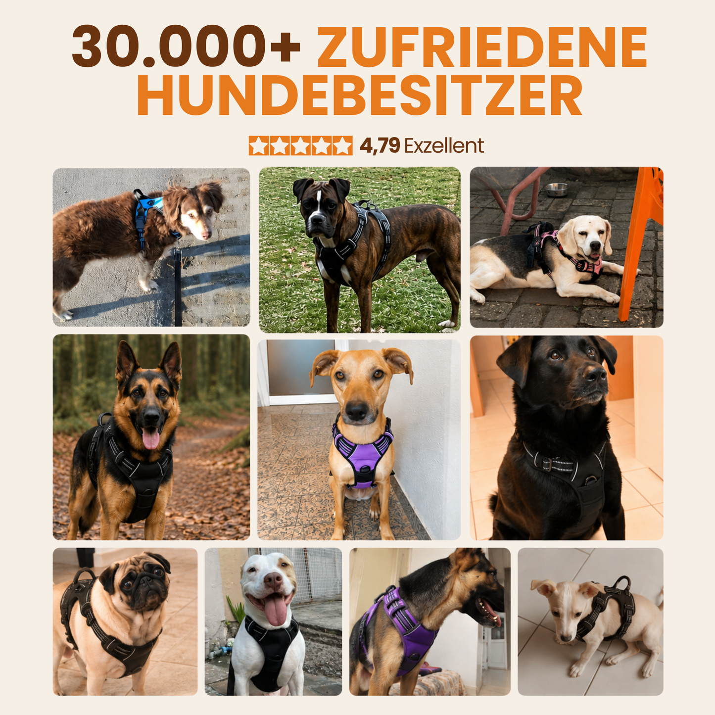 Schnauzenheld™ Bungee-Leine