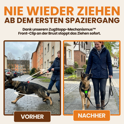 Schnauzenheld™ - Anti-Zieh-Geschirr