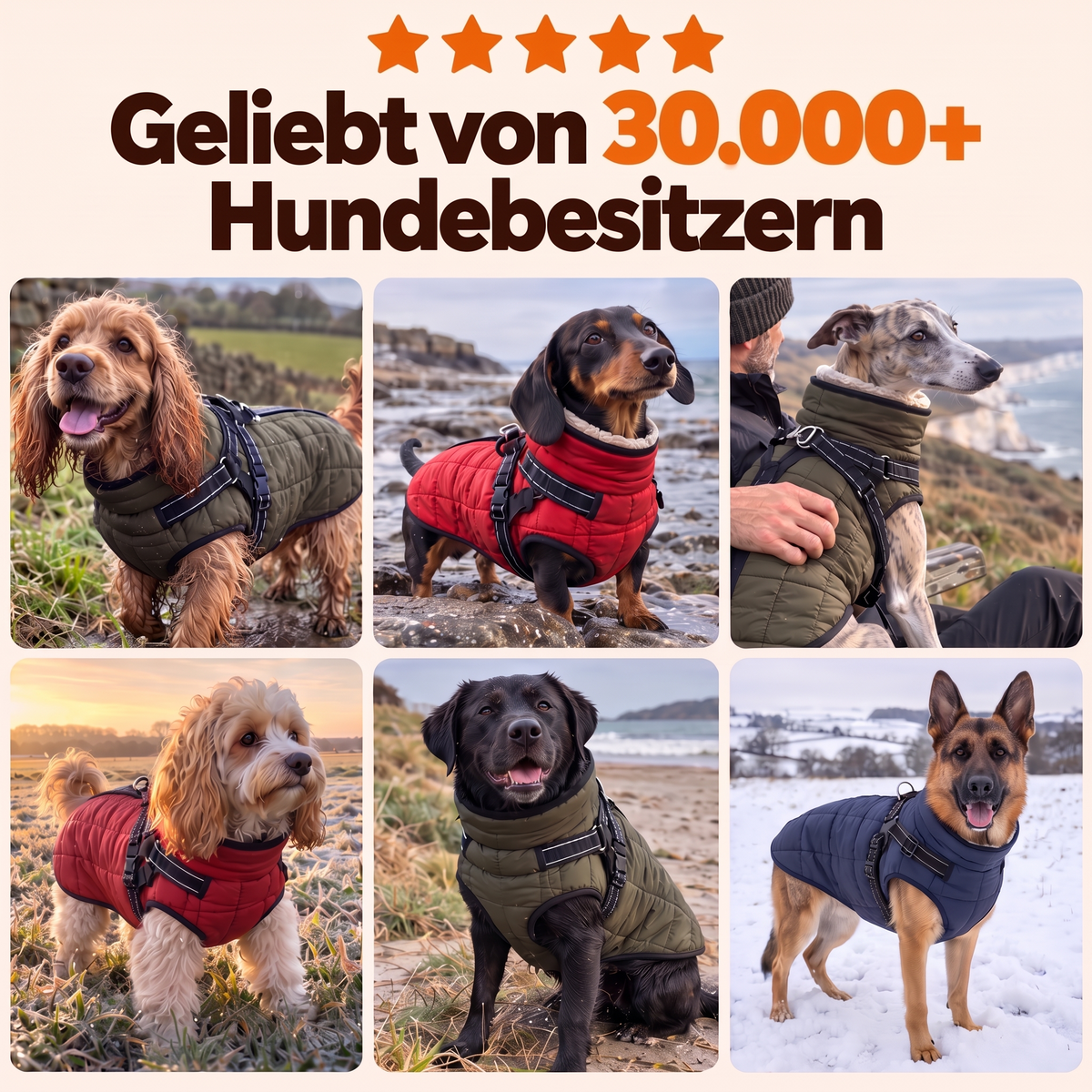 Geliebt von über 30.000 Hundebesitzern – Schnauzenheld Allwetter-Mantel