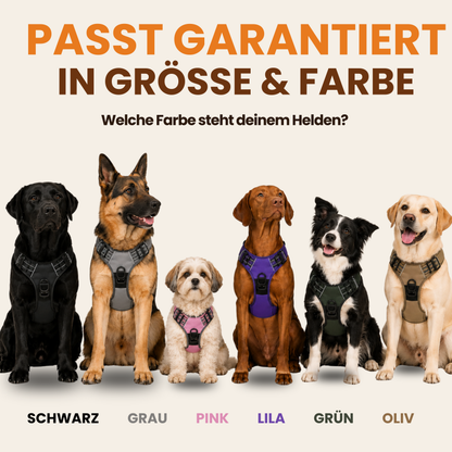 Schnauzenheld™ - Anti-Zieh-Geschirr