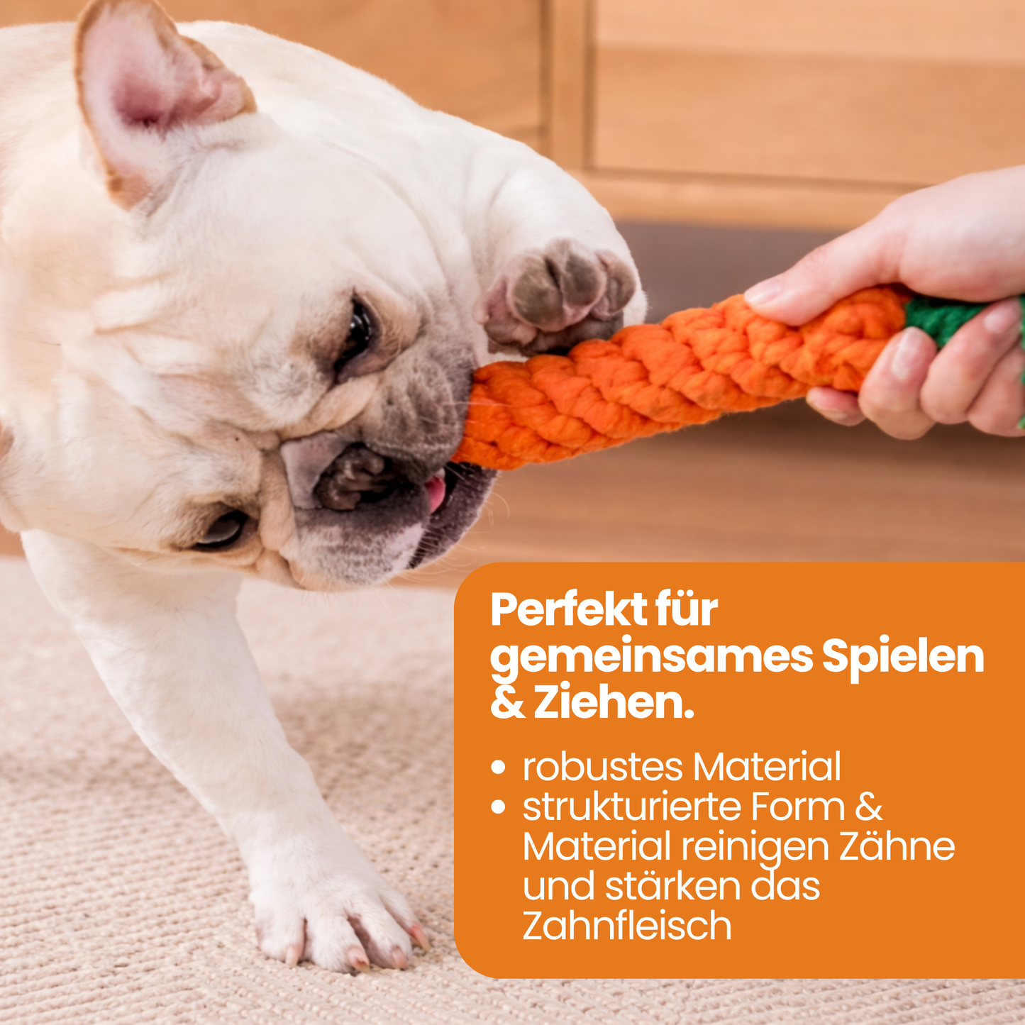 Schnauzenheld™ unzerstörbares Spielzeug