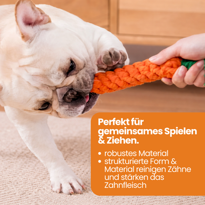 Schnauzenheld™ unzerstörbares Spielzeug
