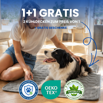 Schnauzenheld™ Kühlmatte (1+1 GRATIS)