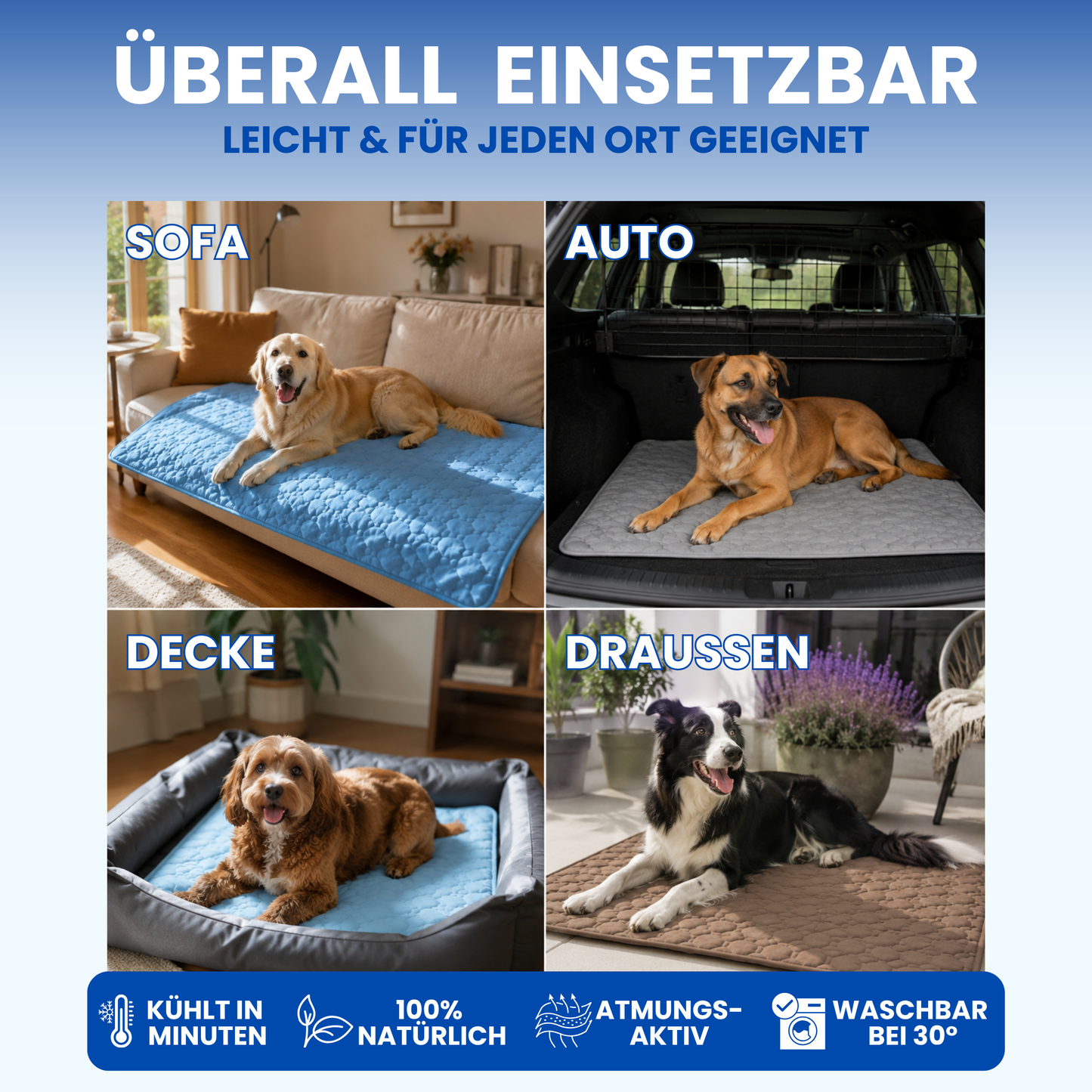 Schnauzenheld™ Kühlmatte (1+1 GRATIS)