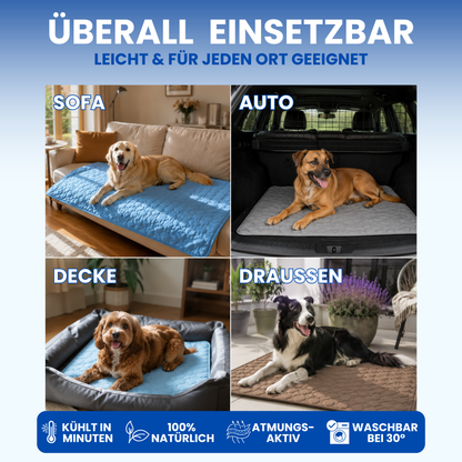 Schnauzenheld™ Kühlmatte (1+1 GRATIS)