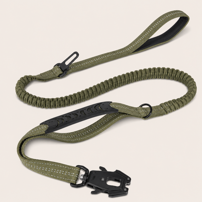 Schnauzenheld™ Bungee-Leine