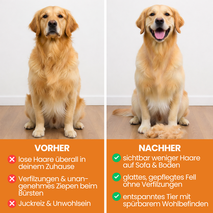 Schnauzenheld™ Unterfell-Bürste