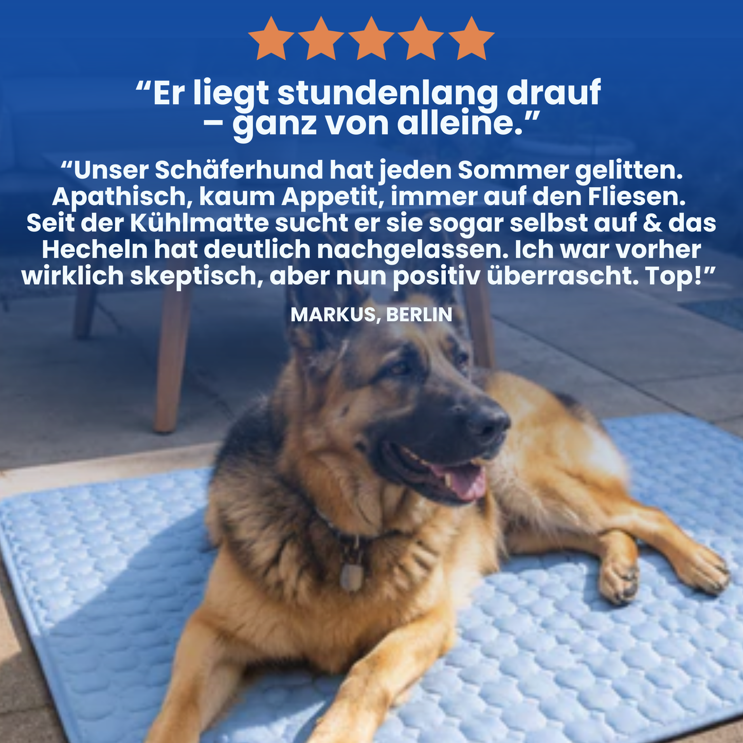 Schnauzenheld™ Kühlmatte (1+1 GRATIS)