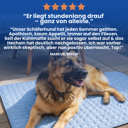 Schnauzenheld™ Kühlmatte (1+1 GRATIS)