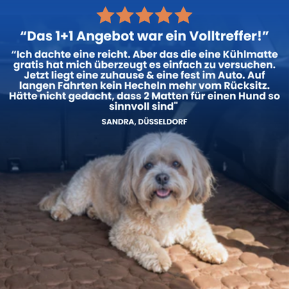 Schnauzenheld™ Kühlmatte (1+1 GRATIS)