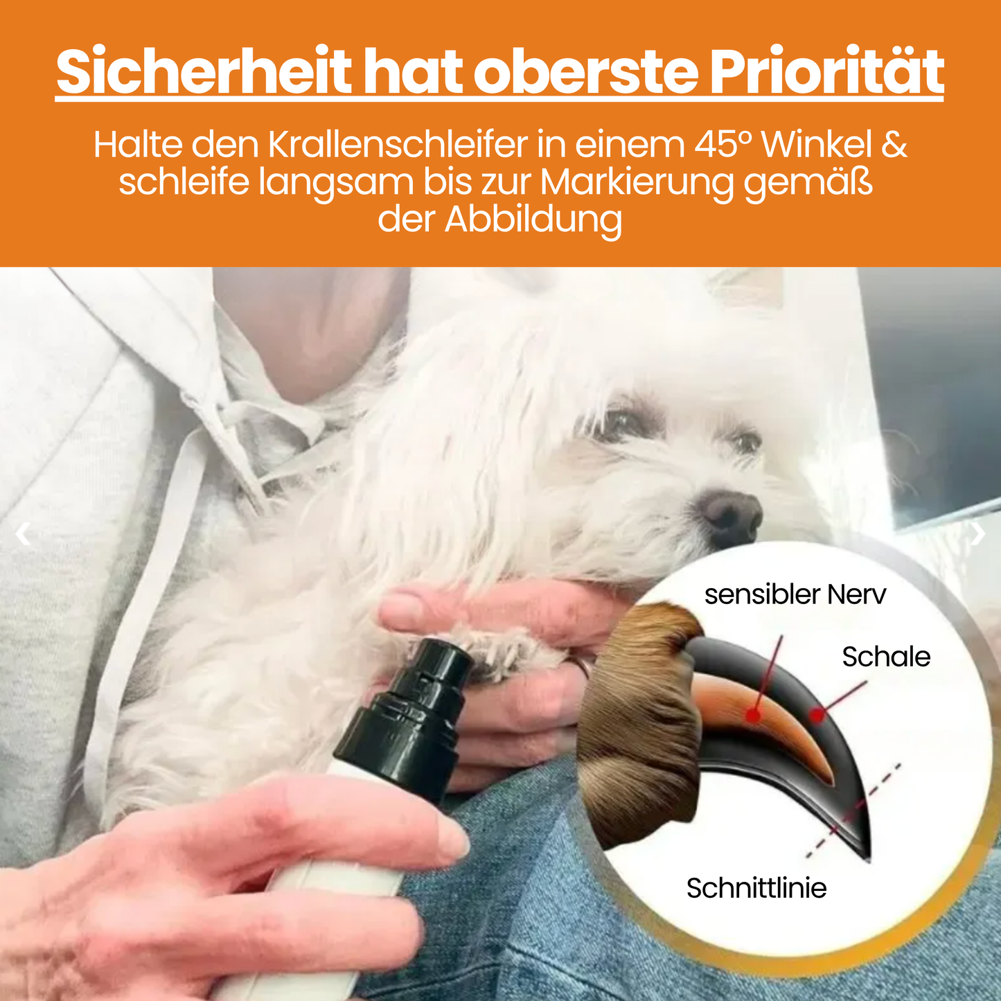 Schnauzenheld™ Krallenschleifer