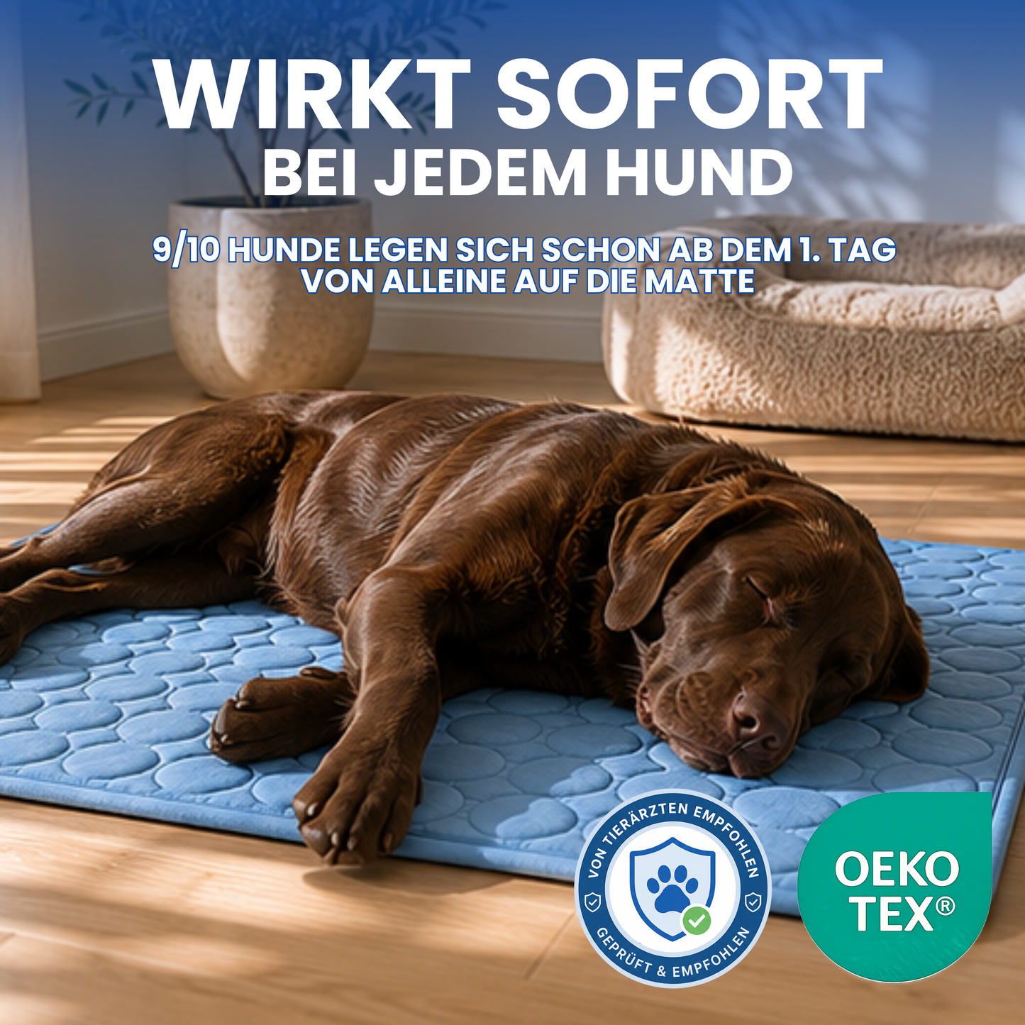 Schnauzenheld™ Kühlmatte (1+1 GRATIS)