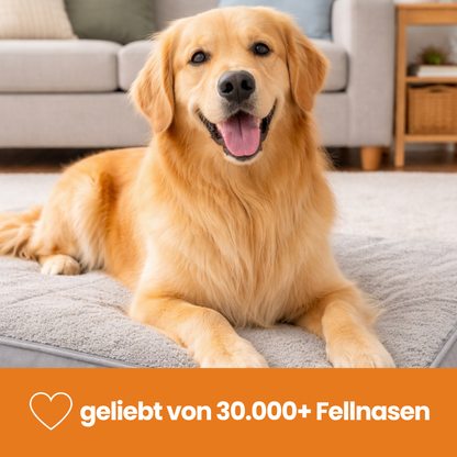 Schnauzenheld™ Unterfell-Bürste