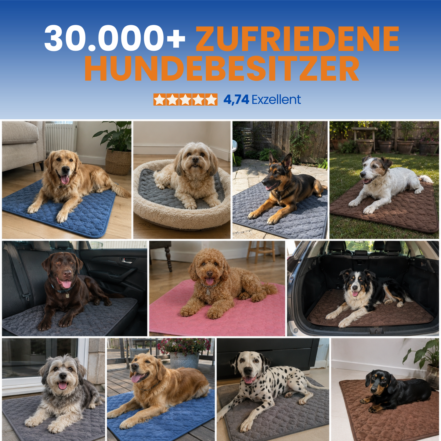 Schnauzenheld™ Kühlmatte (1+1 GRATIS)
