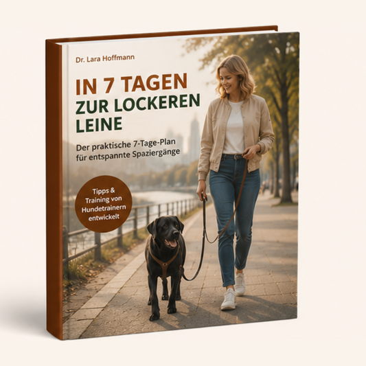 In 7 Tagen zur lockeren Leine - Ebook