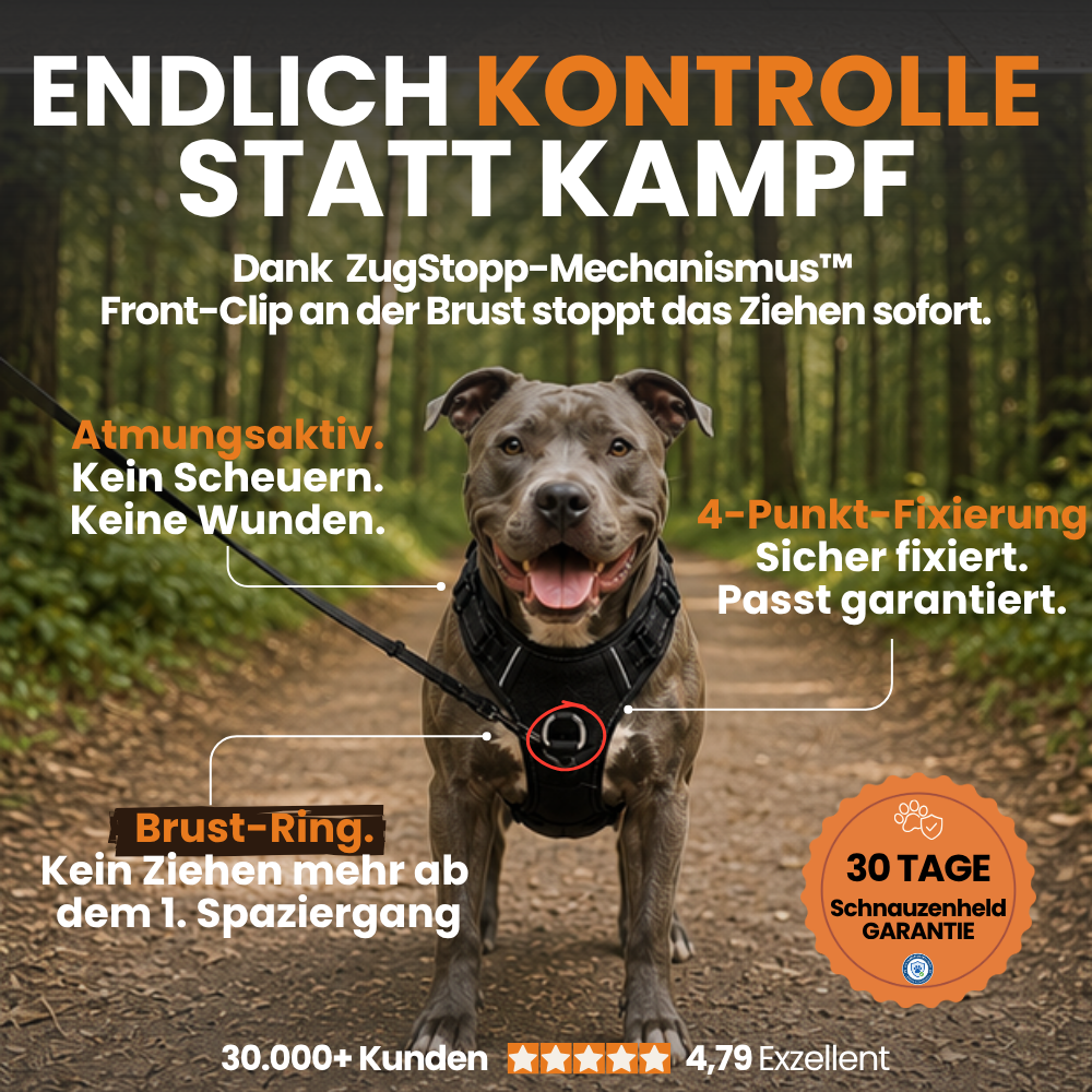 Taktisches Anti-Zieh-Geschirr