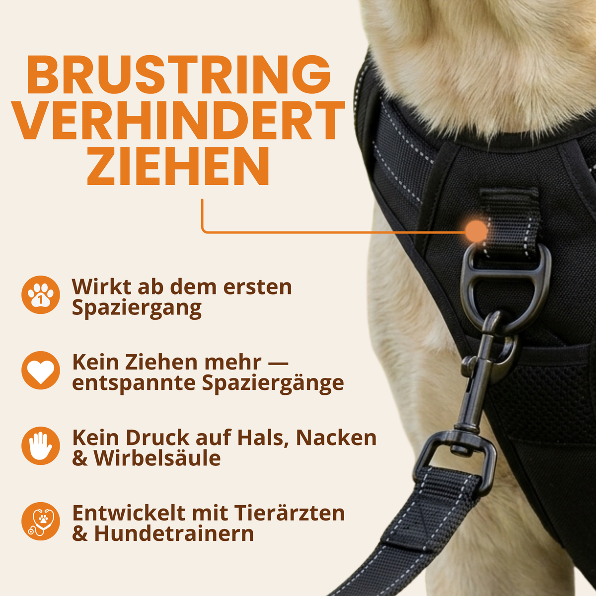 Taktisches Anti-Zieh-Geschirr