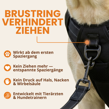 Taktisches Anti-Zieh-Geschirr
