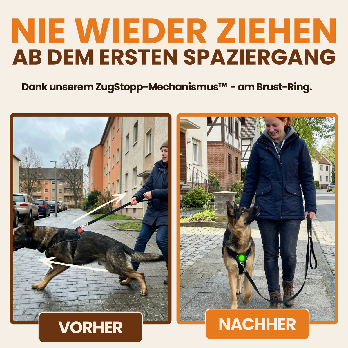 Taktisches Anti-Zieh-Geschirr