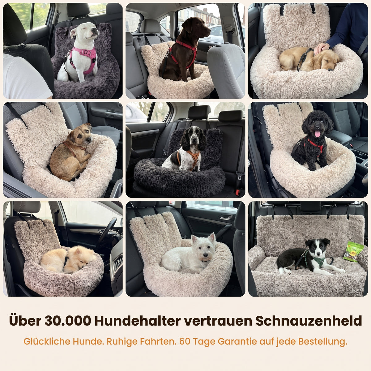 Über 30.000 Hundehalter vertrauen Schnauzenheld
