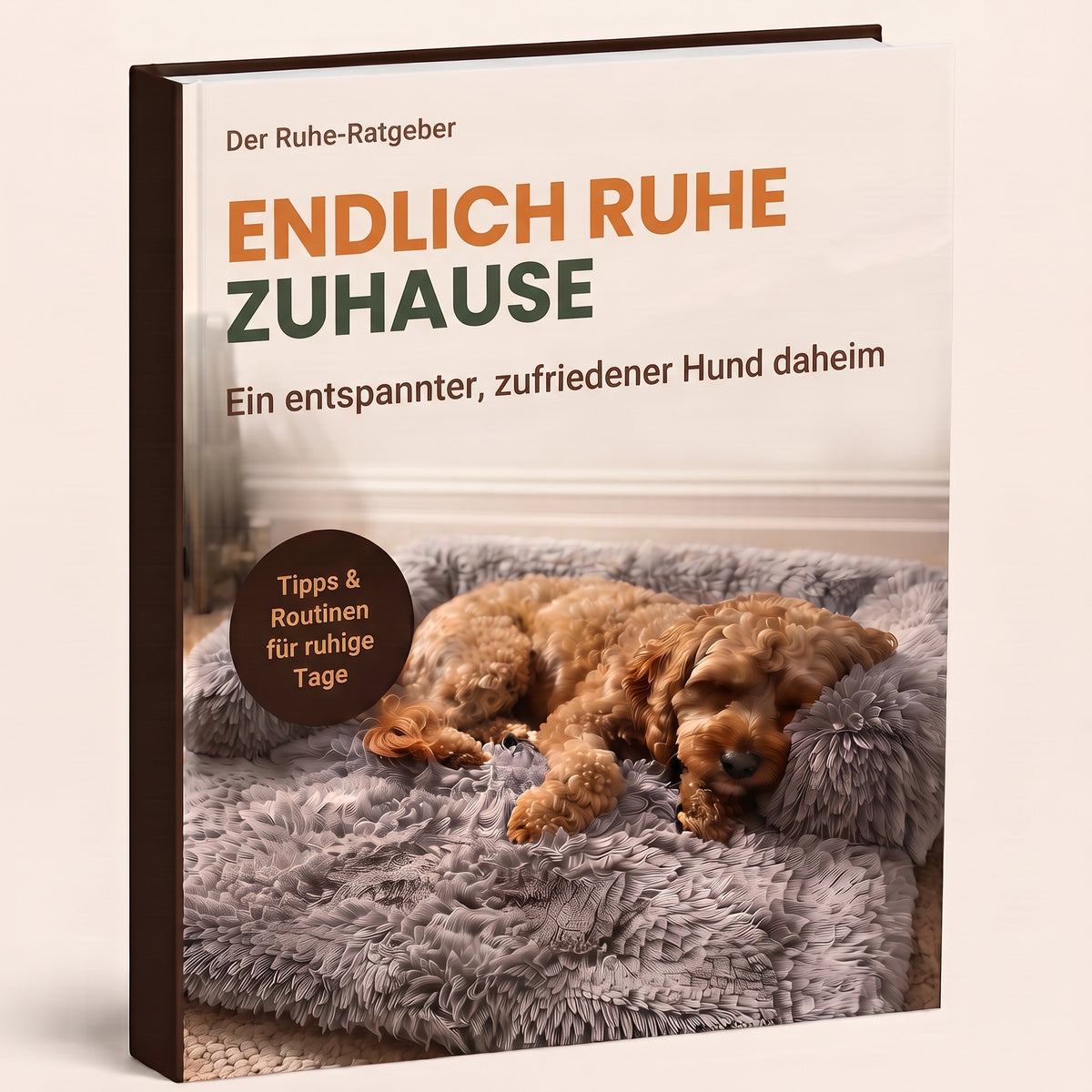 Endlich Ruhe zuhause – Ratgeber von Schnauzenheld