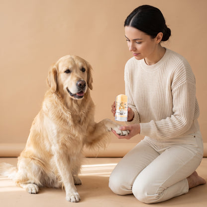 Golden Retriever gibt Pfote zur Pfotenpflege