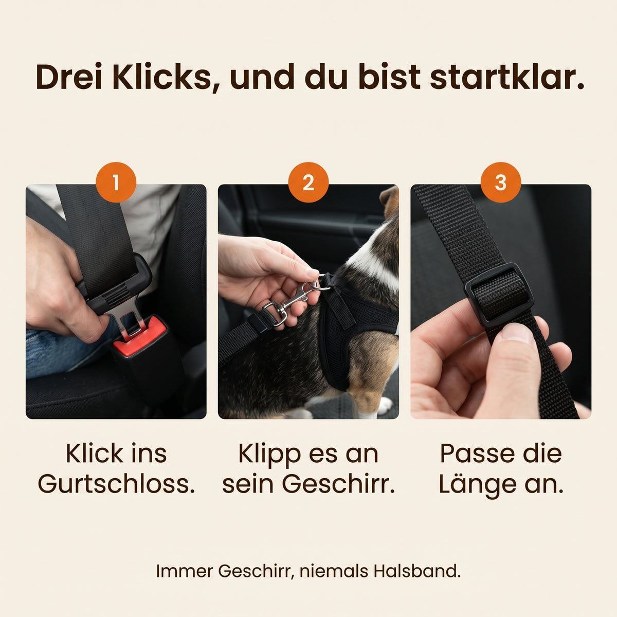 Drei Klicks, und du bist startklar