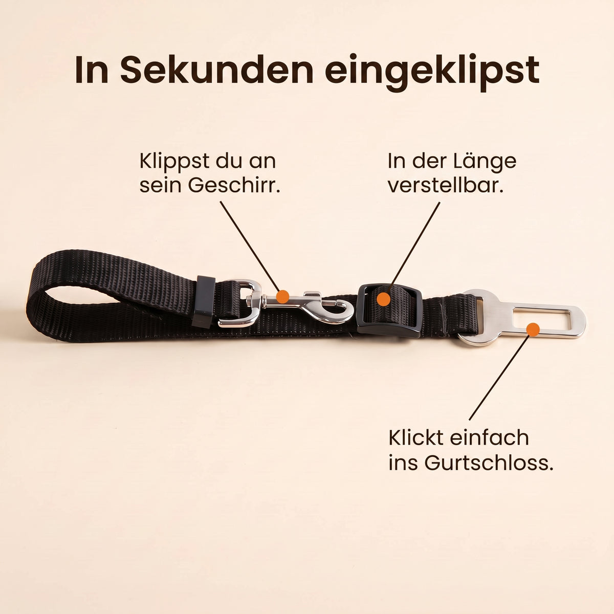 In Sekunden eingeklipst