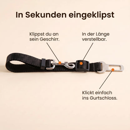 In Sekunden eingeklipst