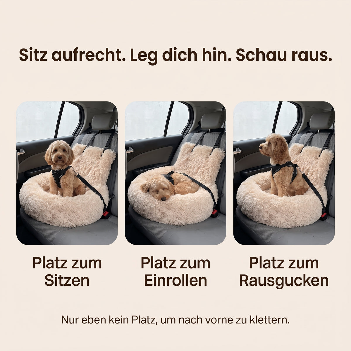 Sitzen, hinlegen, rausschauen