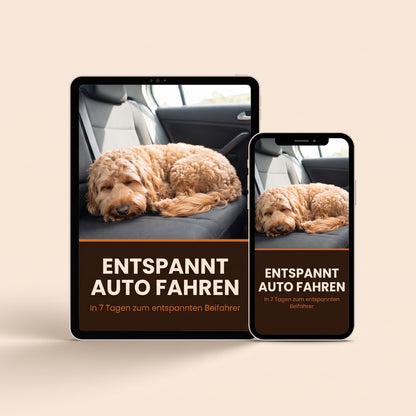 Entspannt Auto fahren auf Tablet und Handy