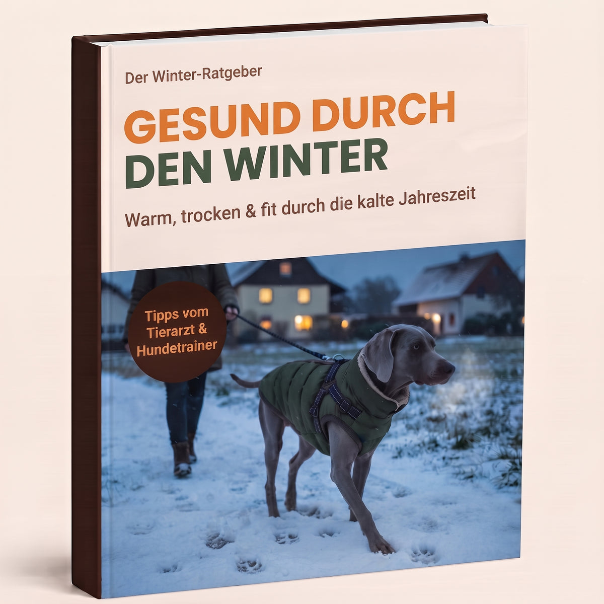 E-Book Gesund durch den Winter – Schnauzenheld Winter-Ratgeber für Hunde