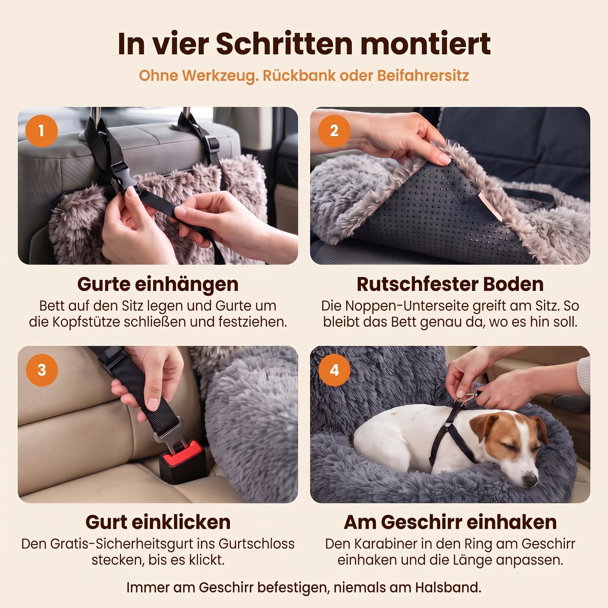 In vier Schritten montiert: Gurte einhängen, rutschfester Boden, Gurt einklicken, am Geschirr einhaken