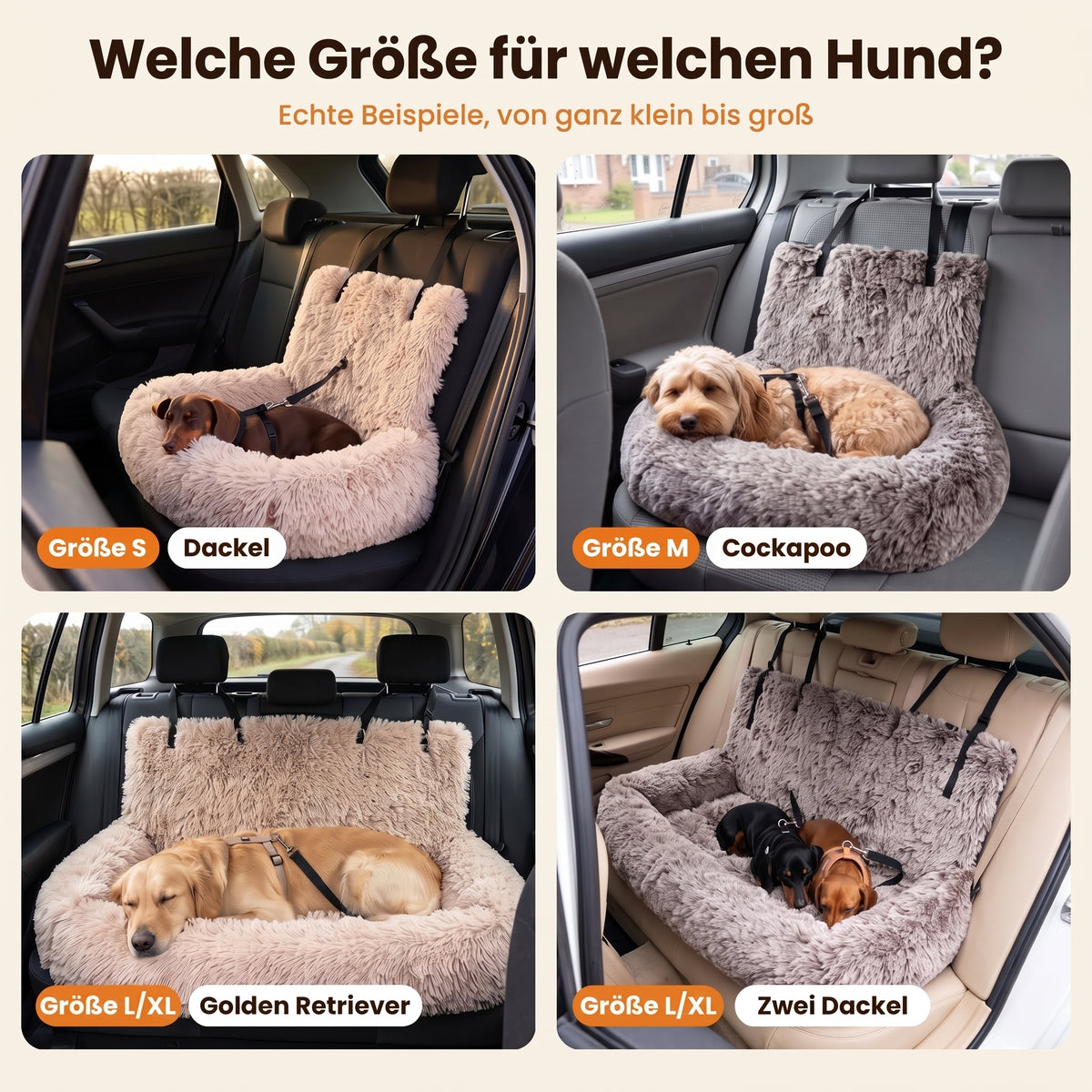 Welche Größe für welchen Hund: Dackel in S, Cockapoo in M, Golden Retriever und zwei Dackel in L/XL