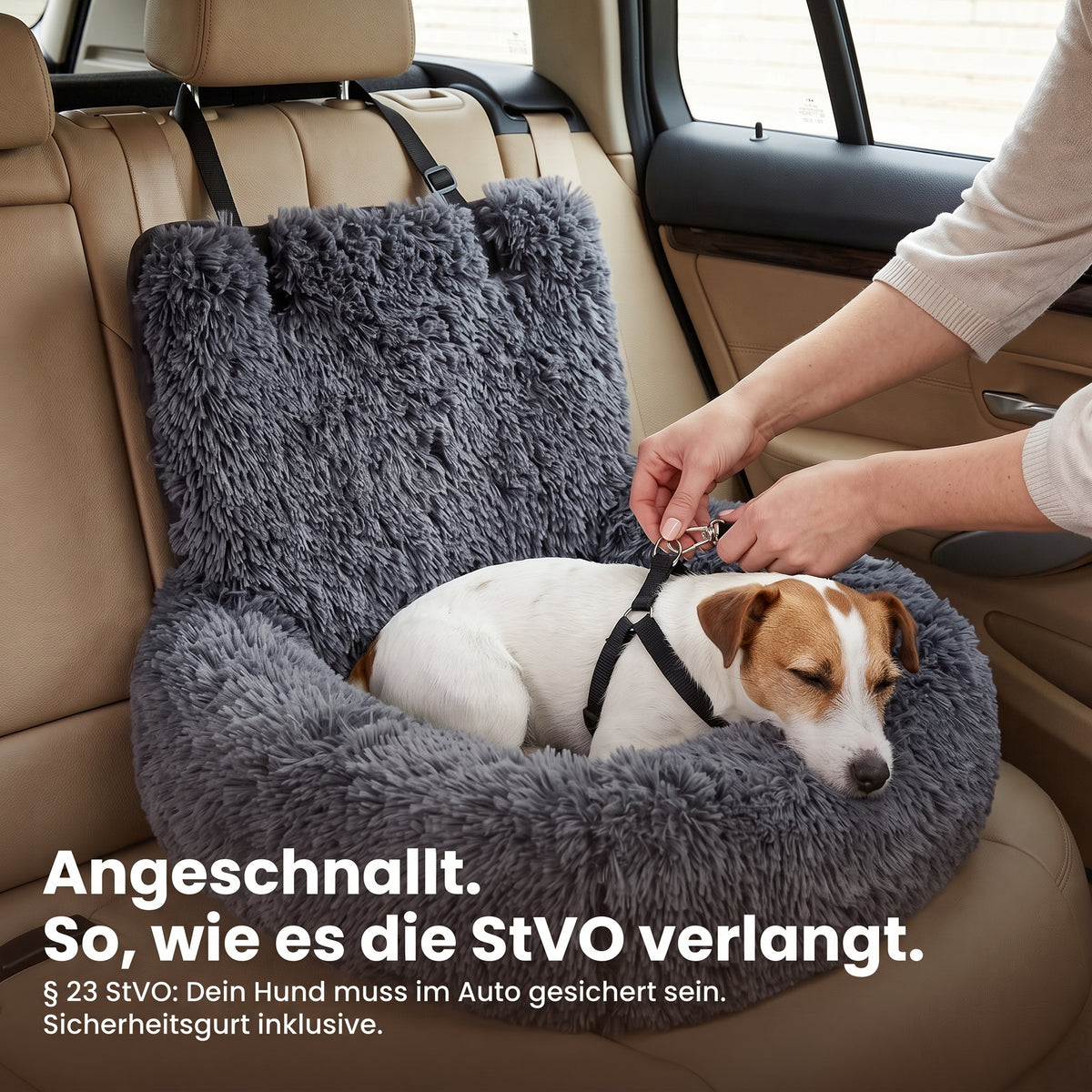 Angeschnallt, so wie es die StVO verlangt