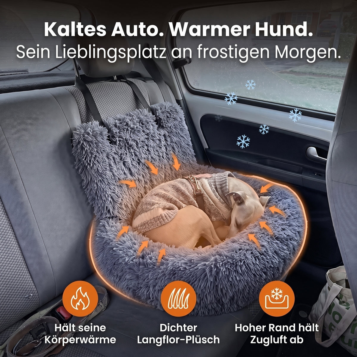 Kaltes Auto, warmer Hund