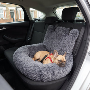 Hund im RuheNest Autobett