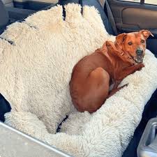 Hund im RuheNest Autobett