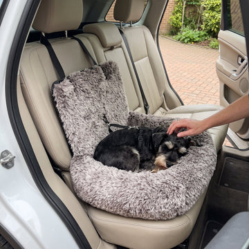 Hund im RuheNest Autobett