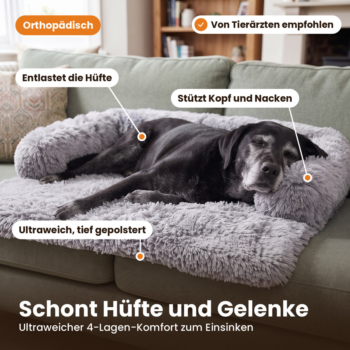 Älterer Labrador liegt entspannt auf dem orthopädischen Schnauzenheld Sofabett – schont Hüfte und Gelenke
