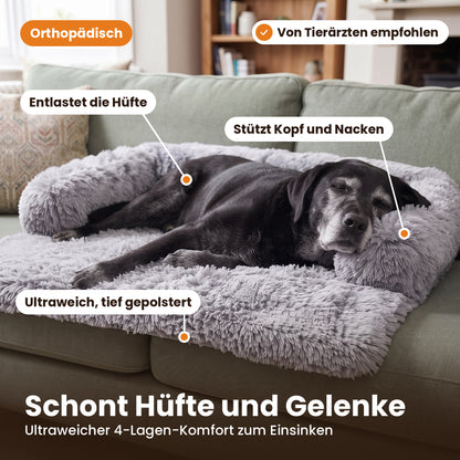 Älterer Labrador liegt entspannt auf dem orthopädischen Schnauzenheld Sofabett – schont Hüfte und Gelenke
