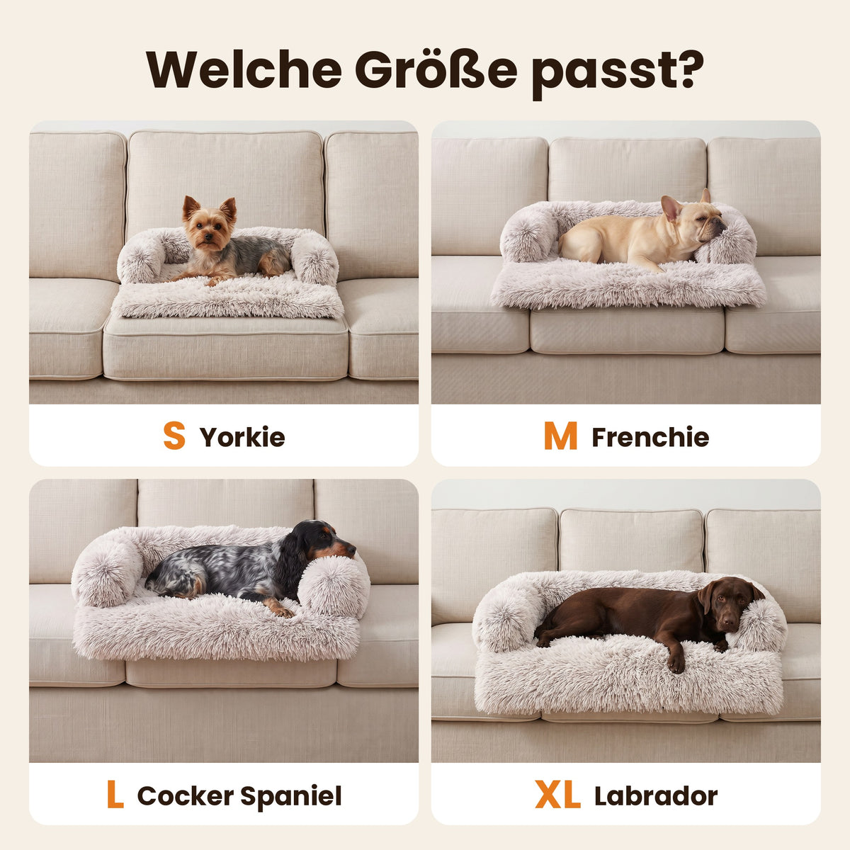 Größenbeispiele: Yorkie auf S, Französische Bulldogge auf M, Cocker Spaniel auf L, Labrador auf XL